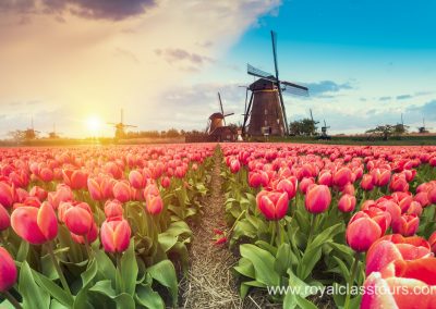 Kinderdijk