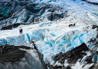 Franz Josef Glacier